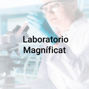 colaboraciones-laboratorio-magnificat